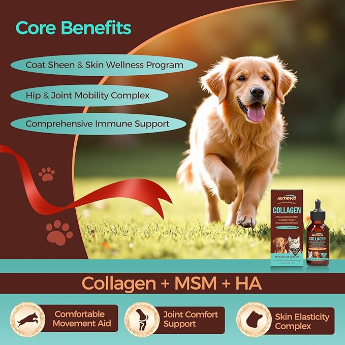Liquid Collagen for Dogs and Cats-Hip and Joint Support, Itch Relief, Skin and Coat Supplement- Liquid Collagen with Multi-Vitamin for Dog, Immunity Boost- Bacon Flavor,60ml
