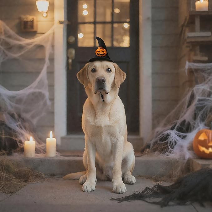 Halloween Pet Costume, Witch Hat for Cats Dogs, Black Adjustable Wizard Hat with Pumpkin Design, Witch Accessories for Small Medium Pets