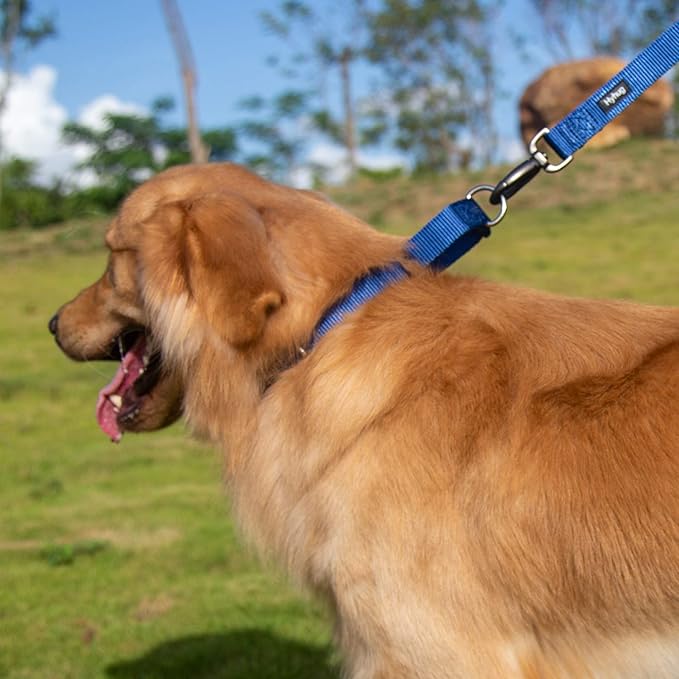 Hyhug Pets Premium Upgraded Durable Nylon Anti-Escape Martingale Collar for Boy and Girl Dogs Comfy and Safe - Professional Training, Daily Use Walking. (Medium, Classic Blue)