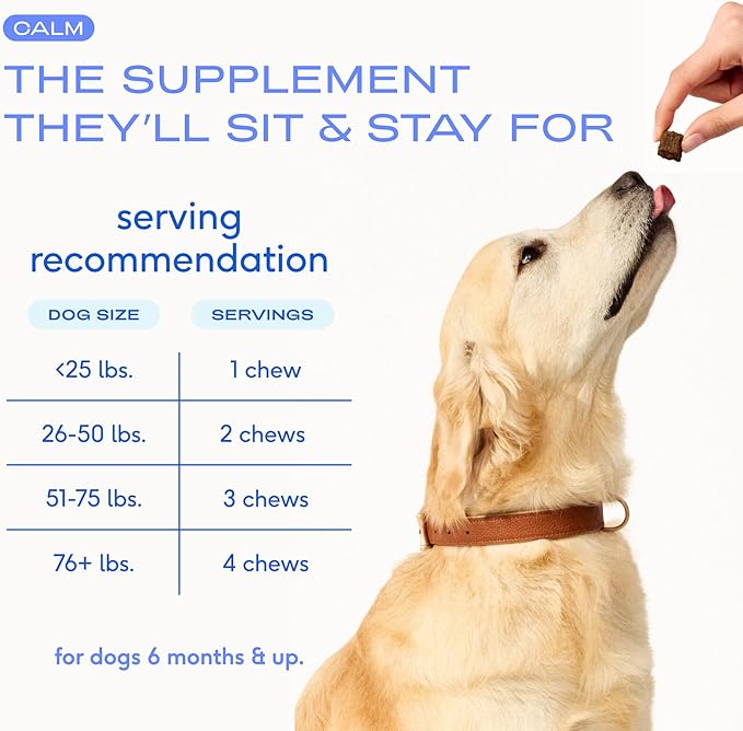 Native Pet Calming Chews for Dogs - Melatonin for Dogs Anxiety Relief - Grain Free All Natural Hemp Calming Treats & L-Theanine Helps Manage Stress & Separation Anxiety - Puppy Sleep Aid - 60 Chews