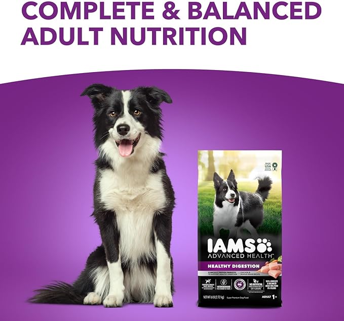 IAMS Advanced Health Healthy Digestion Adult Dry Dog Food with Real Chicken, 6 lb. Bag