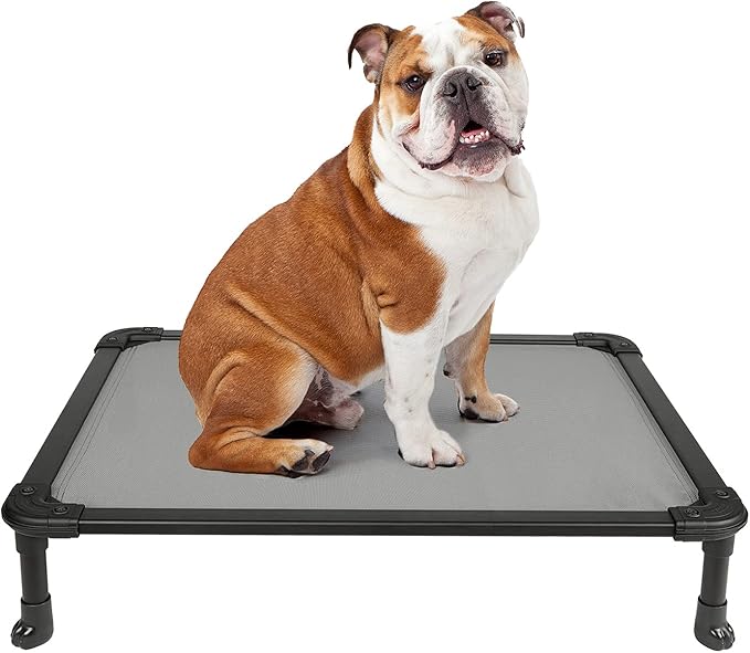Veehoo Chew Proof Elevated Dog Bed - Cooling Raised Pet Cot - Rustless Aluminum Frame and Durable Textilene Mesh, Unique Designed No-Slip Feet for Indoor or Outdoor Use, Grey, Medium, CWC2002