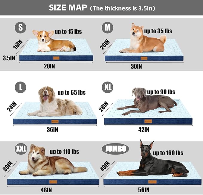 Patas Lague Orthopedic Dog Bed Large Sized Dog 36''X24'', Waterproof Soft Comfortable Egg Crate Foam Large Pet Beds Crate Mat with Removable Washable Cover and Nonskid Bottom, Blue