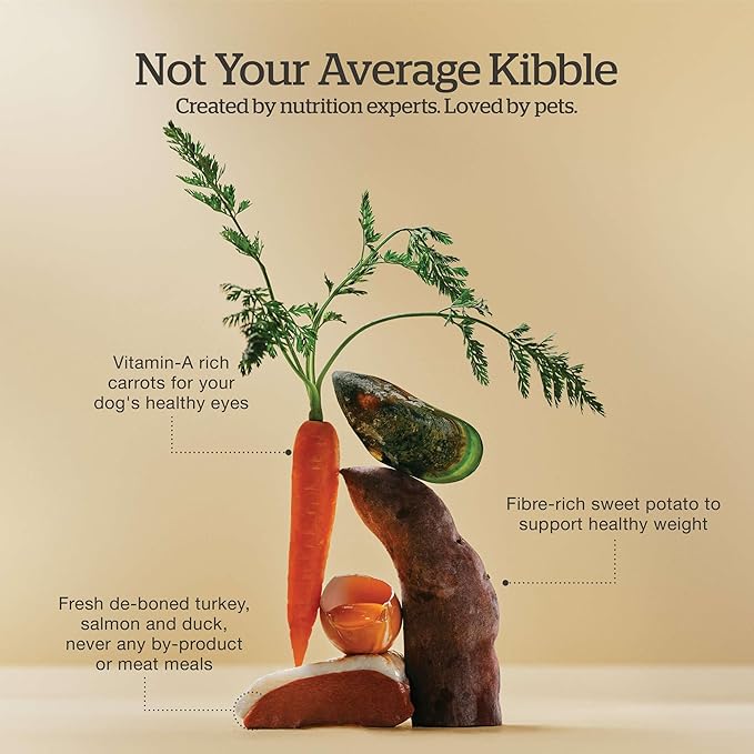 Now Fresh Grain-Free Dry Dog Food with Turkey, Salmon & Duck, Healthy Kibble for Adults Made with Real Meat & Fish, Chicken-Free, Enhanced with Pumpkin & Probiotics for Good Digestion, 12 lb Bag