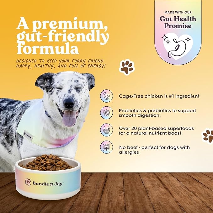 Bundle x Joy Superfood Dry Dog Food - Pet Food for Small, Medium and Large Breeds - Made with Real Ingredients - Nutrient Dense Probiotic Dog Food to Support Healthy Digestion (12 Pound, Chicken)