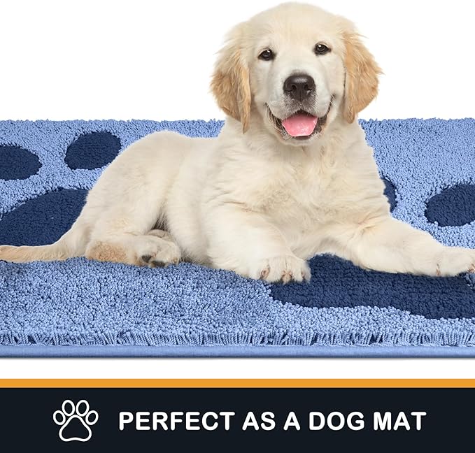 PURRUGS Dirt Trapping Door mat 24" x 35.5", Non-Skid/Slip Machine Washable Microfiber Entryway Rug, Dog Door Mat, Super Absorbent Welcome Mat for Muddy Wet Shoes and Paws, Light Blue