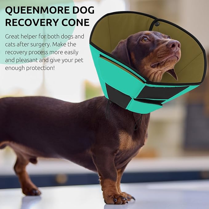 Queenmore Dog Cone Collar, Cone for Dogs to Stop Licking, Dog Cones for Medium Dogs, Adjustable Doggy Recovery Collars & Cones, Elizabethan Collar for Pets After Surgery, Green M
