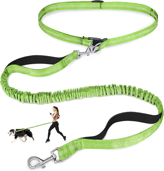 Hands Free Dog Leash, Adjustable Waist Leash for Dog Walking, Dual Bungee Dog 4.2-6.7 Feet Long with Reflective Stitches for Walking Hiking Running, Fits 26"- 43" Inch Waist, Green