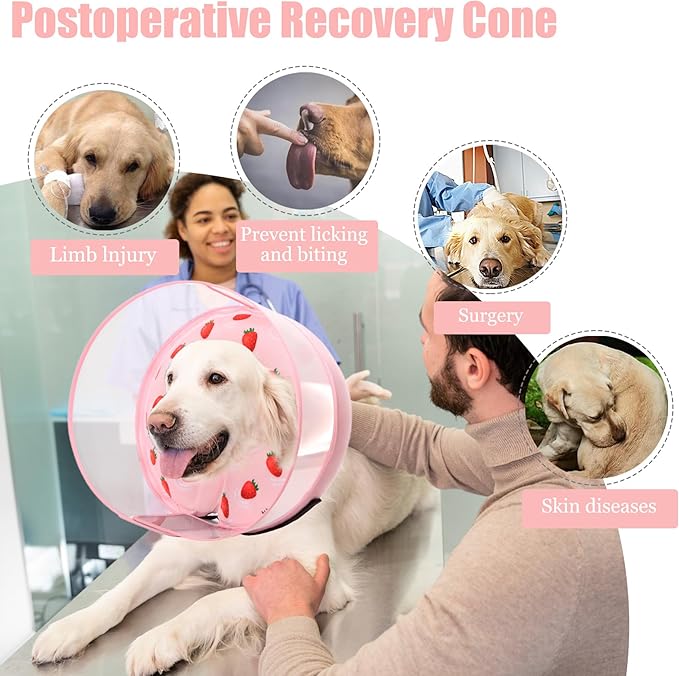 Inflatable Dog Cone Collar for Large Medium Small Dogs, Soft Dog Donut Collar Adjustable Recovery Cone for Pets After Surgery, Extra Enhanced Anti-Licking Guard Shield (Strawberry Print, Medium Plus)