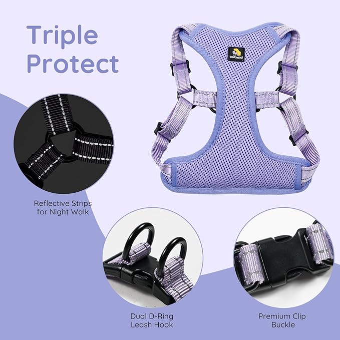 BELLA & PAL Adjustable Step-in Dog Harness, Puppy No-Pull Vest with Leash Set for XS/Small & Medium Dog, Breathable All-Weather Mesh, Reflective Strip, Secure Hook & Loop, Buckle Closure, Dual D-Rings