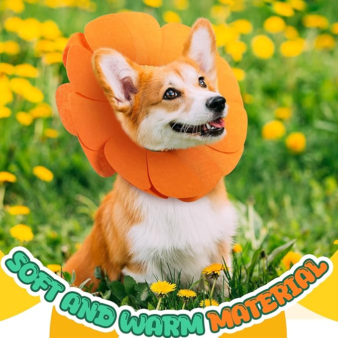 Pet Sun Flower Hat Halloween Pet Sunflower Costume for Dog Cat Puppy Dress up Collar Costume Hat Outfit Cosplay Halloween(Small)