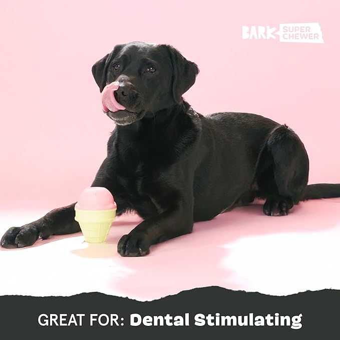 Barkbox I-Squeak Cone Dog Toy for Large Dogs, Perfect for Treat Spreading with a Wacky Bounce for Endless Playtime