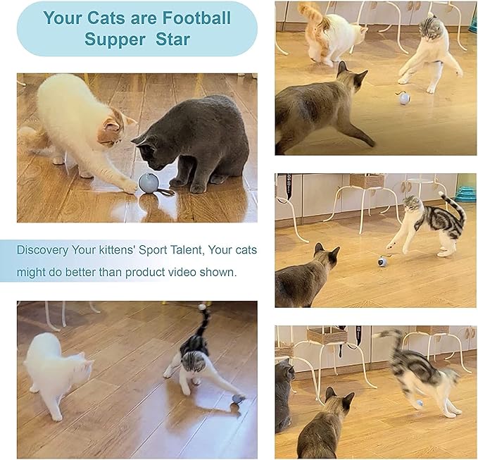 Migipaws Interactive Cat Ball Toy Set, Fun Tracker, Automatic Rolling Chase Ball with Fluffy Tail, A Small Mice, Rechargeable (Orange)