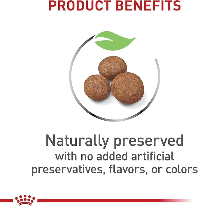 Royal Canin Size Health Nutrition Large Puppy Dry Dog Food, 4 lb Bag