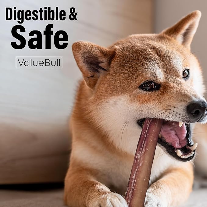 ValueBull Bully Sticks for Dogs, Thick 12 Inch, 50 Count - All Natural, Grass Fed, Single Ingredient, Long Lasting Dog Treats