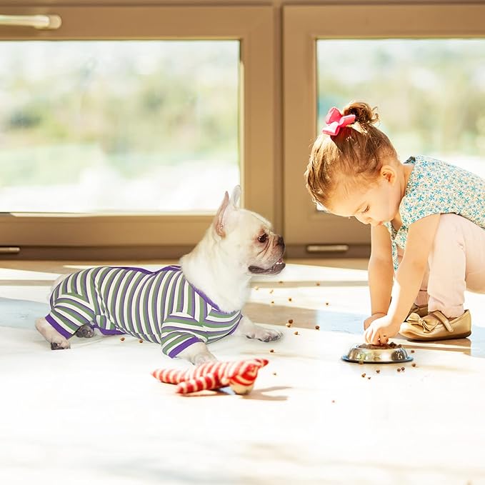 TONY HOBY Dog Pajamas, Knitted Dog Jumpsuit Shirt in Cold Weather, Dogs Surgical Recovery Suit for Small Medium Dogs (Purple&Green, Boy, L)