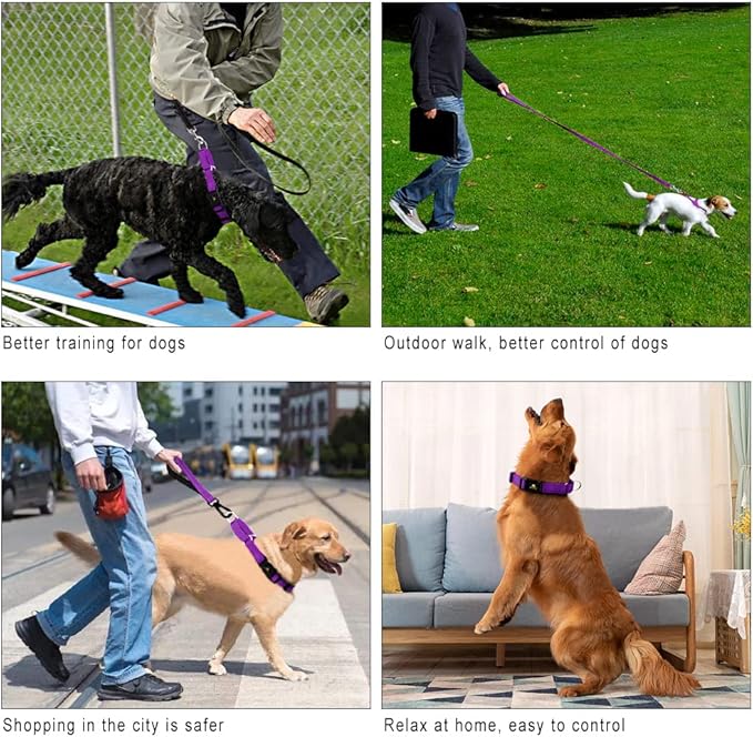 PLUTUS PET Reflective Martingale Collar with Quick Snap Buckle,No Pull Dog Choker Collar for Small Medium Large Dogs,XS,Purple