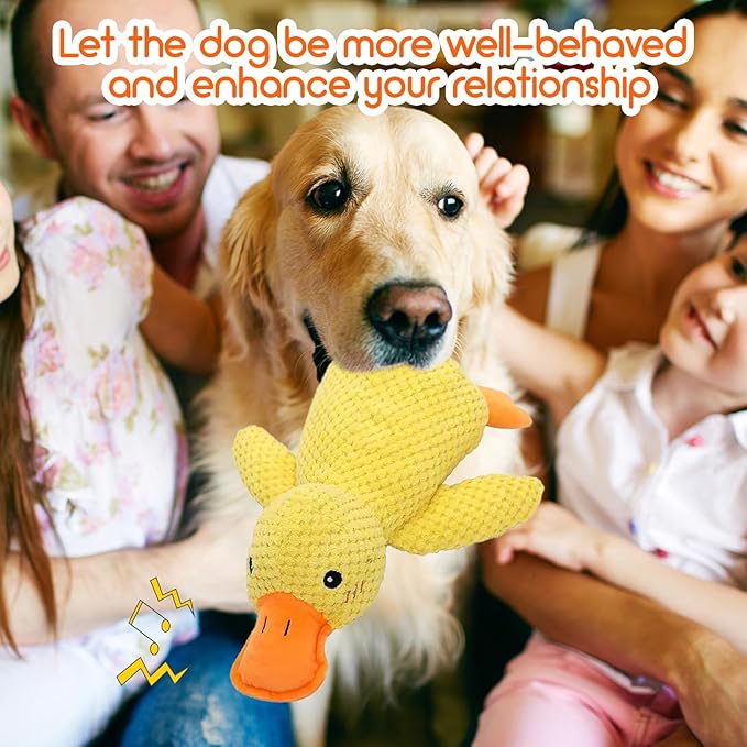 DAJOOEE 2 Pack Duck Squeaky Dog Toys Durable Dog Toys Puppy Toys for Large Medium Small Dogs