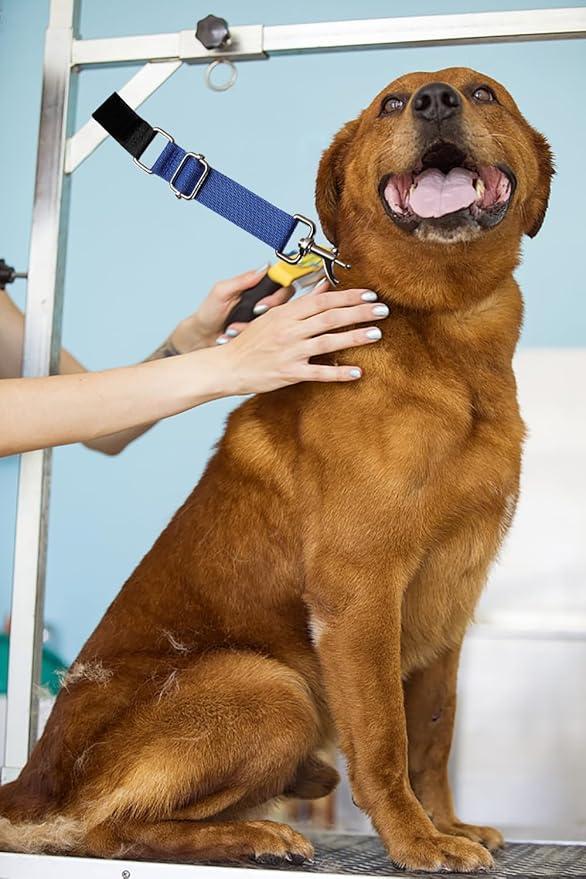 Pet Dog Grooming Table Arm Accessories Dog Grooming Loops for Table Arm Extender Adjustable Extension Loop Bathing Restraint Leash for Small & Medium Dogs (Blue & Green)