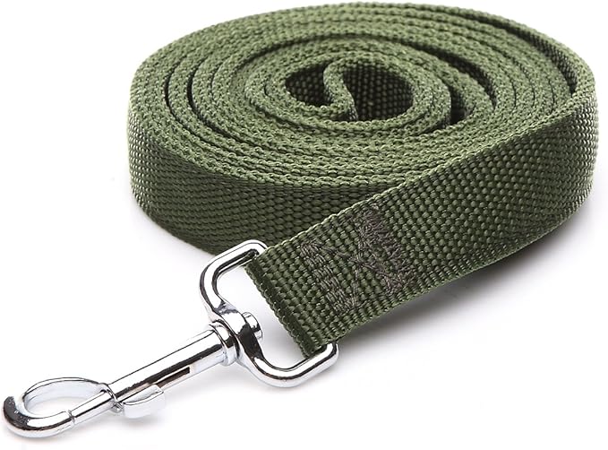 Strong Nylon Dog Leash with 2-Layer, 4 FT/ 6 Feet Long, 1 Inch Wide for Medium Large Dogs (1'' x 7 FT, Green)