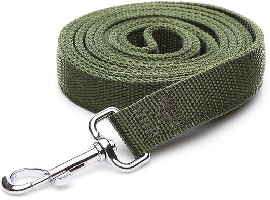 Strong Nylon Dog Leash with 2-Layer, 4 FT/ 6 Feet Long, 1 Inch Wide for Medium Large Dogs (1'' x 5 FT, Green)