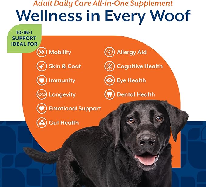 NaturVet All-in-One Adult Dog Daily Care, 10-in-1 Supplement Dog Soft Chews for Mobility, Skin, Digestion, Teeth, Cognition, Eyes, Hickory Smoked Bacon Flavored Pet Supplement for Dogs, 60 Count