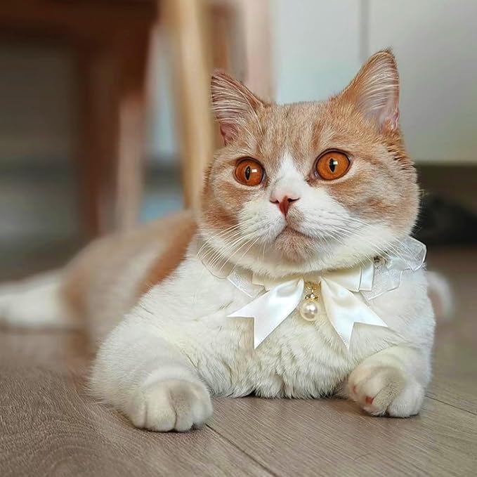 Elegant Lace Cat Collar with Cute Bow,Kitty Necklace with Bow Tie and Pearl,Pet Lace Bib Collar with Cute Bow,Cat Princess Costumes,Golden,1 Piece