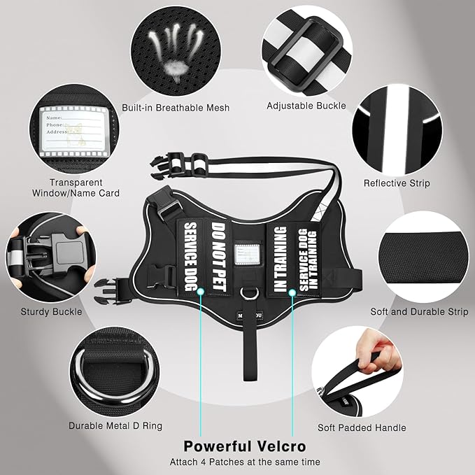 Service Dog Vest Harness and Leash Set+10 Patches,No Pull&Easy Walk Reflective Dog Harness with Soft Padded Handle for Training/Everyday,Fit Small/Medium/Large/Extra-Large Dogs(Black XL)