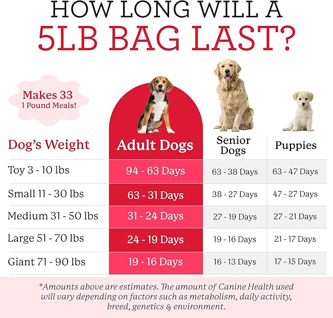 Dr. Harvey's Canine Health Miracle Dog Food, Human Grade Dehydrated Base Mix for Dogs with 9 Vegetables and 6 Organic Whole Grains (5 Pounds)
