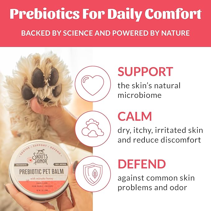 SKOUT'S HONOR Prebiotic Pet Balm - 100% Natural and Made w/Manuka Honey to Promote Healing of Your pet's paw Pads and Nose, Soothes Dry, Itchy Paws and Noses - Safe for Cats and Dogs, 2oz