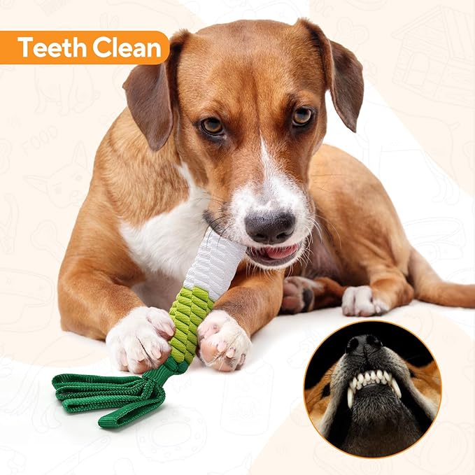 Dog Rope Toy, Tug of War Dog Toy, Cute Carrot Dog Toy with Crinkle Paper Tags, Radish