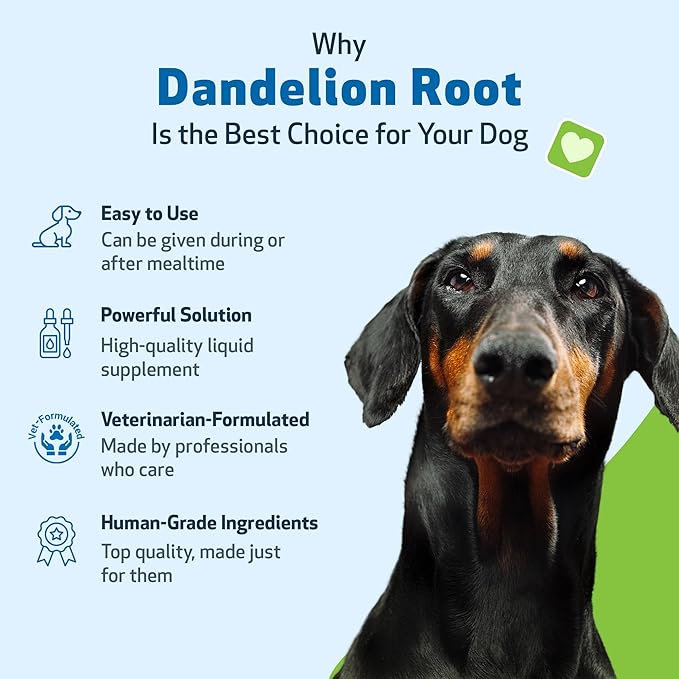 Pet Wellbeing Dandelion Root for Dogs - Liver & Heart Health, Digestive Function, Blood Sugar Support, Certified Organic - Veterinarian-Formulated Herbal Supplement 4 oz (118 ml)