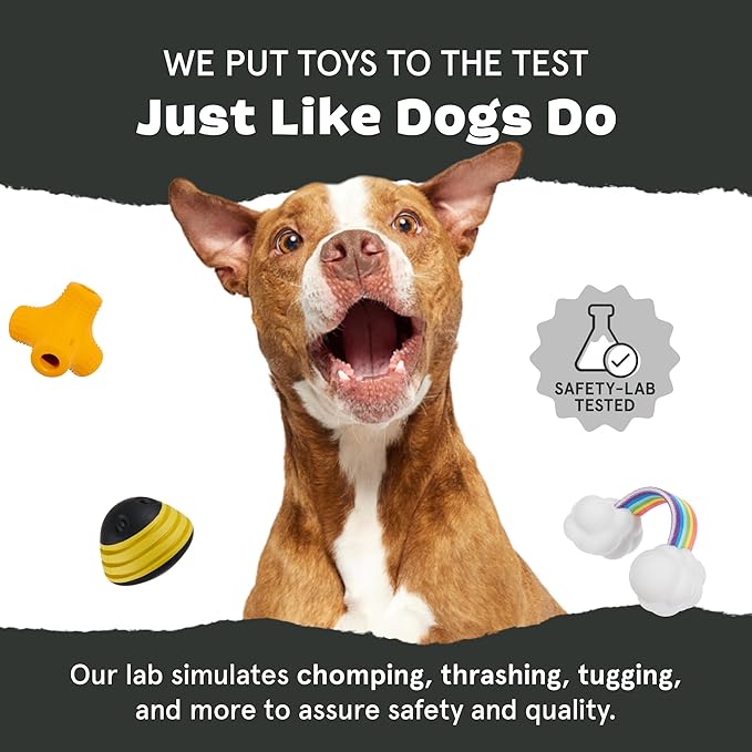 Barkbox I-Squeak Cone Dog Toy for Large Dogs, Perfect for Treat Spreading with a Wacky Bounce for Endless Playtime
