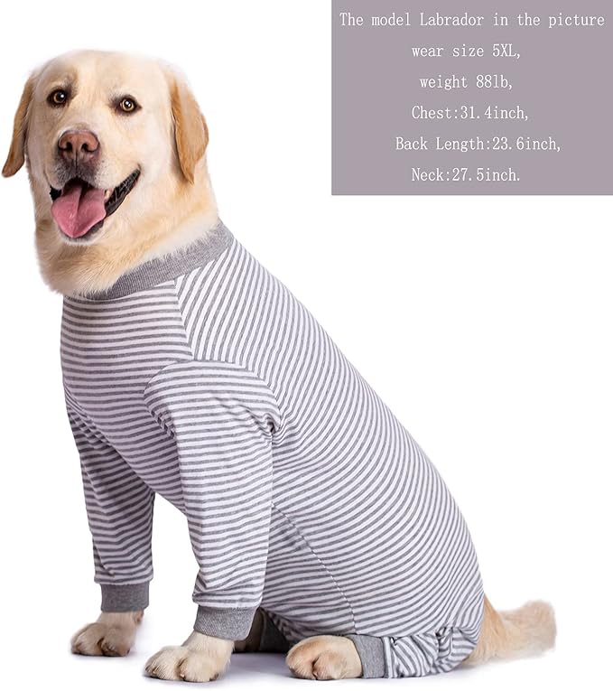 Yeapeeto Dog Onesie Surgery Recovery Suit for Large Medium Bodysuit Dogs Pajamas PJS Full Body for Shedding, Prevent Licking, Wound Protection, Cone Alternative (5XL, Grey)