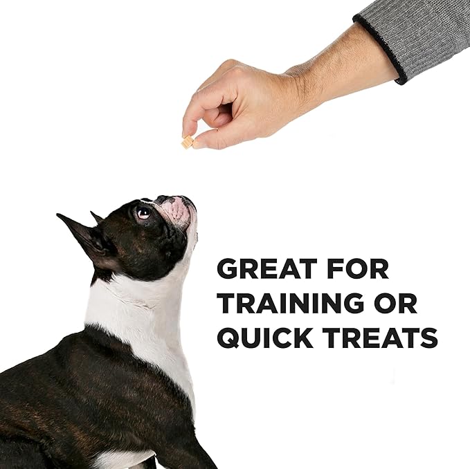 Hive Dog Training Treats Ñ Healthy, Non-GMO Project Verified, Natural Peanut Butter Flavored, Vegetarian, Grain Free Dog Treat for Small and Large Dogs, Made in The USA