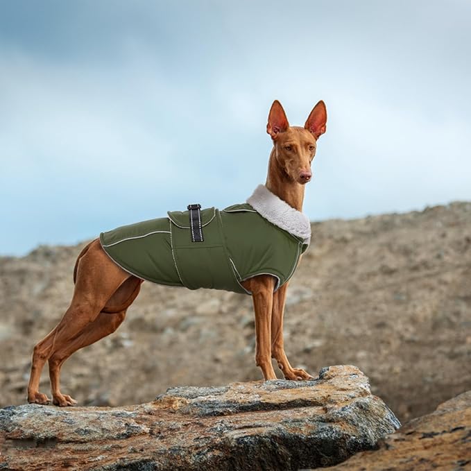 Lelepet Warm Dog Coat Reflective Fleece Vest Waterproof Dog Jacket with Adjustable Buckle Hook & Loop Windproof Cold Weather Coats for Small Medium Large Dogs, Army Green, XXL