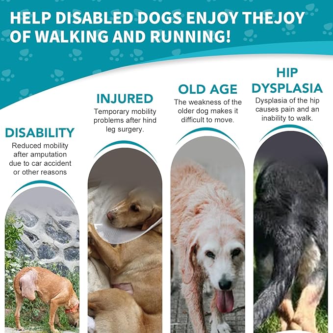 Dog Wheelchair for Back Legs with Pet Traction Rope, X-Small Wheelchair for Dogs with Disabled Hind Legs Walking Adjustable Dog Carts with Heavy Duty Wheels