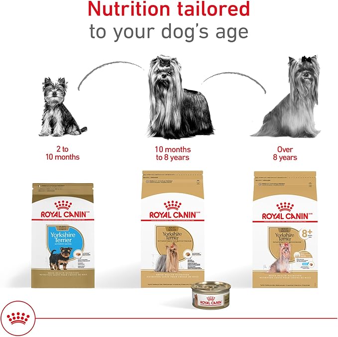 Royal Canin Yorkshire Terrier Adult 8+ Dry Dog Food for Aging Dogs