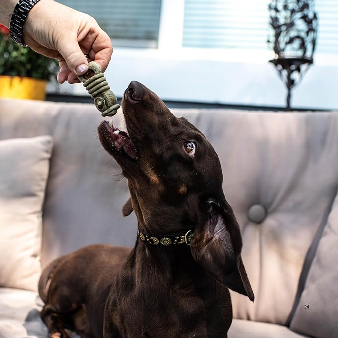 Loving Pets Ora-Bone™ Dental Chews for Dogs – USA Made Dog Dental Sticks with Parsley & Mint – Patented Shape to Reduce Plaque, Tartar, Massage Gums & Freshen Breath (Small Dogs 14 oz.)