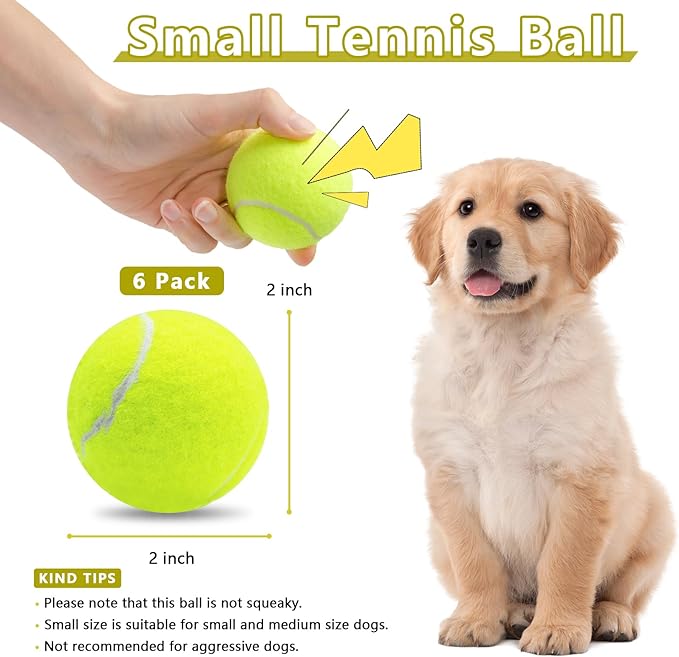 Magicorange 6 Pack Small Tennis Balls, 2 inch Squeaky Tennis Ball for Dogs,Colorful Easy Catching Squeaky Dog Balls with Mesh Bag for Easy Transport (Yellow)