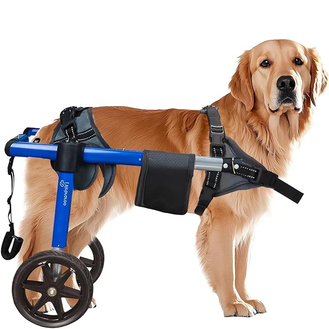 Dog Wheelchair for Back Legs, Dog Wheelchair with All-Terrain Tires & Durable Bearings, Large Dog Wheelchair for Back Legs, 48.5-66.1 lbs (L)