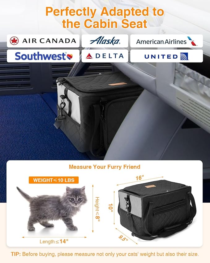 PETUX Small Cat Carrier - Pet Carrier Airline Approved for Kitten Under 10 lb - Escape-Proof, Foldable and Portable Cat Carriers with Removable Bag and Safety Buckle for Travel, Vet Visits - Grey