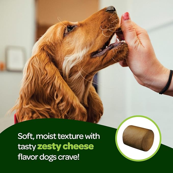 Probiotic Chews for Dogs Gut Health | Tasty Pre and Probiotics for Dogs Digestive Health with Pumpkin Dog Probiotics and Digestive Enzymes | NASC Certified & Made in The USA | 60 Chews