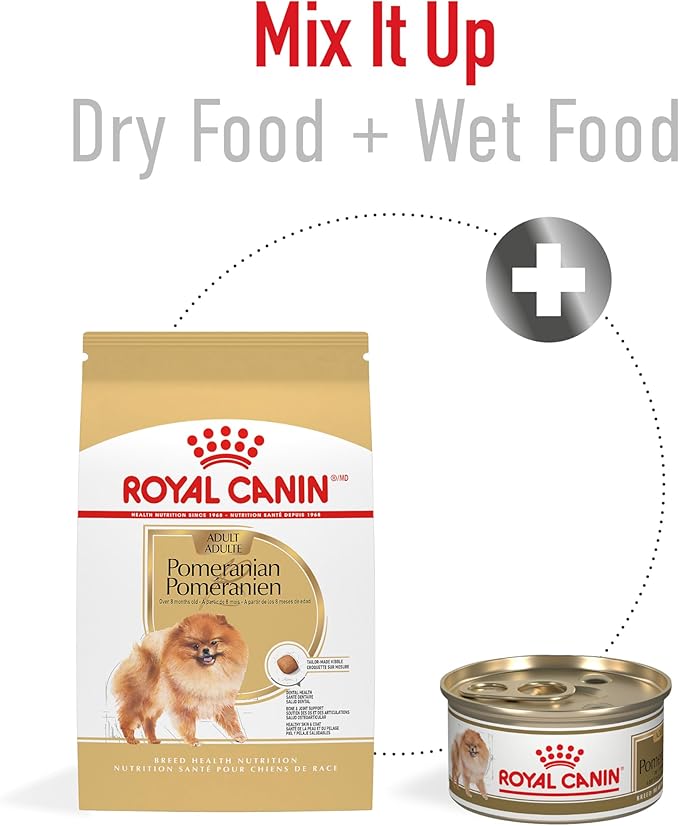 Royal Canin Breed Health Nutrition Pomeranian Dry Dog Food, 10 lb bag