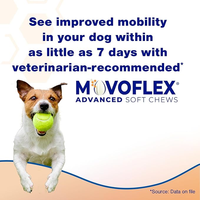 MOVOFLEX Advanced Soft Chews Hip Joint Support Supplement for Large Dogs 60 Count by Virbac