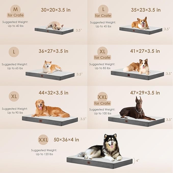 EHEYCIGA Orthopedic Dog Beds for Large Dogs with Removable Washable Cover, Beige, 36x27