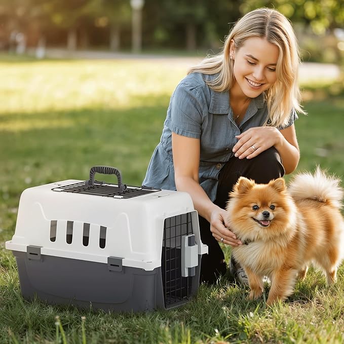 Magshion 18 Inch Pet Carrier for Small Dogs and Cats with Top and Front Door Access, Plastic Dog Kennel for Longer Traveling, Durable Handle, and 4 Sides Ventilation for Pet Up 10 lbs (White+Grey)
