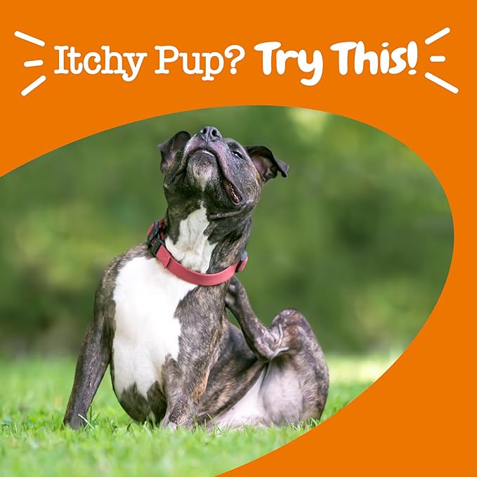 Zesty Paws Itch Relief for Dogs - Chews for Itching Skin & Coat - Omega-3 Fish Oil with EPA & DHA - Dog Allergy Relief Chews Supplement - Vitamin C & E Antioxidant Support - Chicken Flavor - 90 Count