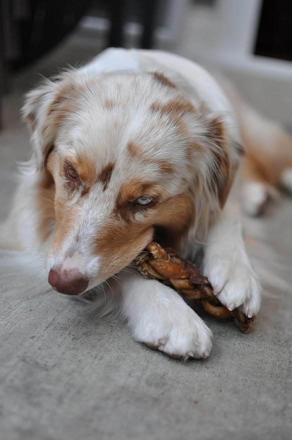 Redbarn Pet Products All-Natural 7" Braided Bully Sticks for Dogs - Premium Slow Roasted Long Lasting Chews Made with 100% Beef - Healthy Single Ingredient Low Odor - 8 Count - Packaging May Vary