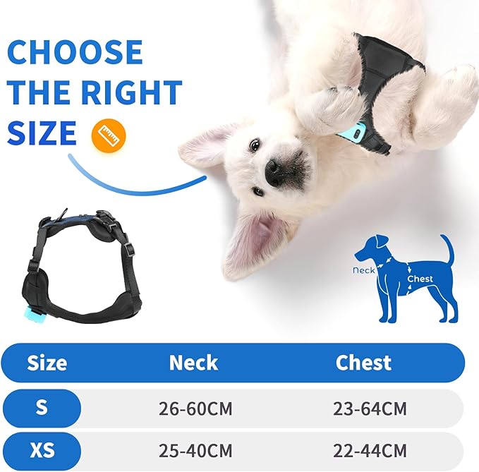 Bark Control Training Vest for Small Dogs - Rechargeable No Barking Device for Dogs - Bark Deterrent with 5 Sensitivity Levels, Adjustable Straps, D-Ring - No False Alarms or Throat Prongs